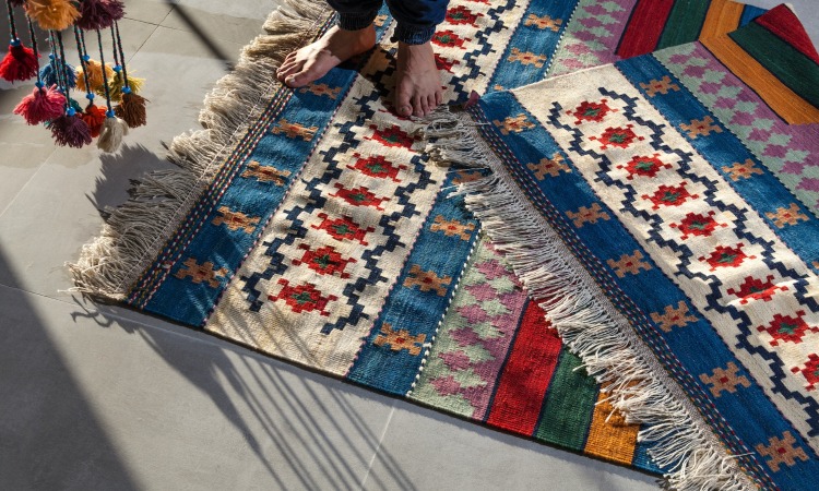 Top 5 Tips for Maintaining Clean and Fresh Carpets in Tampa Bay